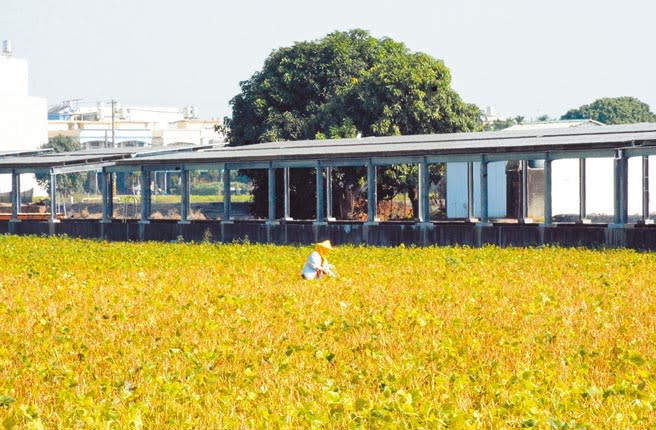 屏東縣積極發展綠能產業，但避免「綠電蟑螂」藉此橫行，警方特別成立專案小組，嚴格監控不法。（林和生攝）