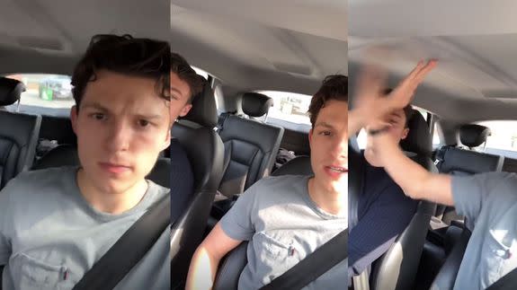 Tom Holland and friend high five after saving a dog.