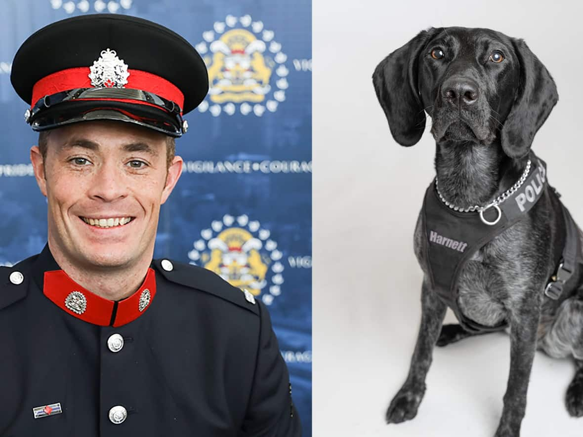 Sgt. Andrew Harnett was killed during a traffic stop on New Year's Eve 2020. He now has a canine namesake in the Metro Vancouver Transit Police. (Metro Vancouver Transit Police - image credit)