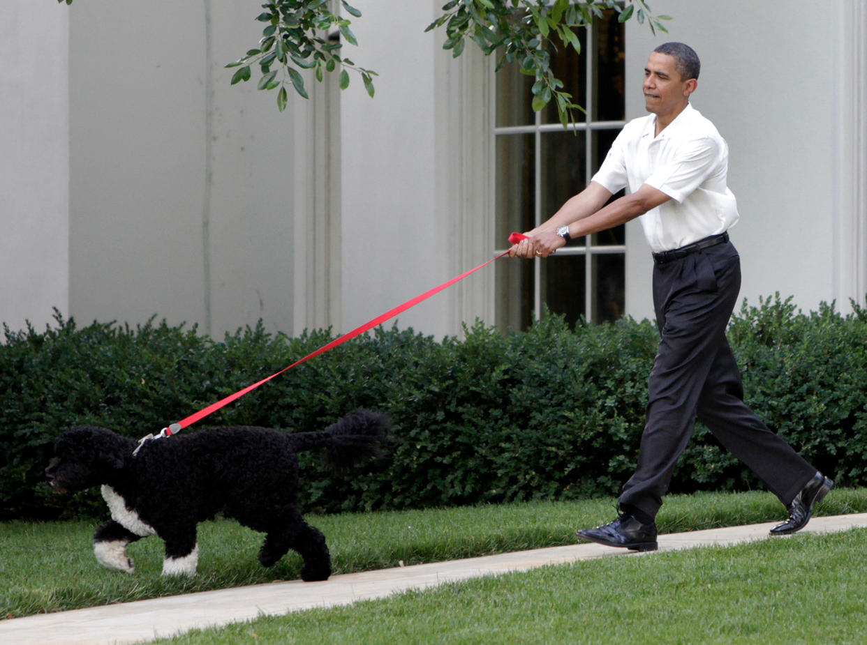 Former president Barack Obama, depicted in 2010, announced that the family dog Bo died on May 8, 2021.(Photo: YURI GRIPAS/AFP via Getty Images)