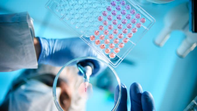 A scientist using a pipette with a microtiter plate and a petri dish.