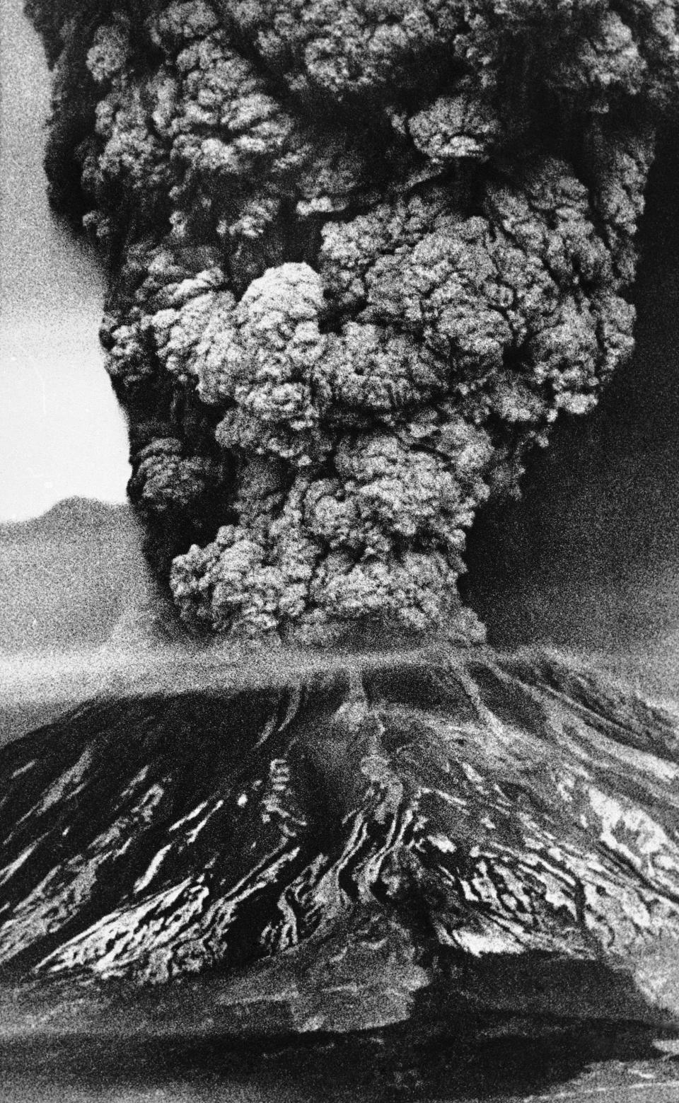 Mount St. Helens sends a plume of ash, smoke and debris skyward in its most violent eruption to date, May 18, 1980. The volcano, located 45 miles northeast of Portland, Wash., became active on March 27. Flooding in some areas has been triggered by the volcano and residents have been evacuated. 