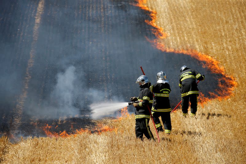French firefighters extinguish a fire in a burning field of wheat in Aubencheul-au-Bac