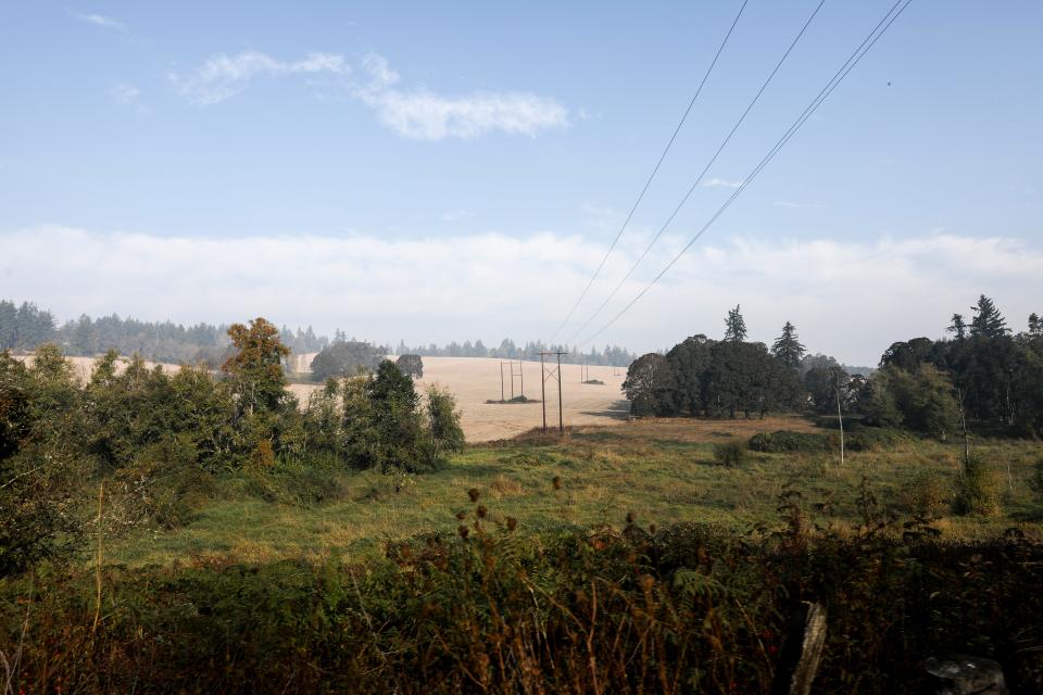 Grass seed fields viewed from Vitae Springs Road S in Salem.