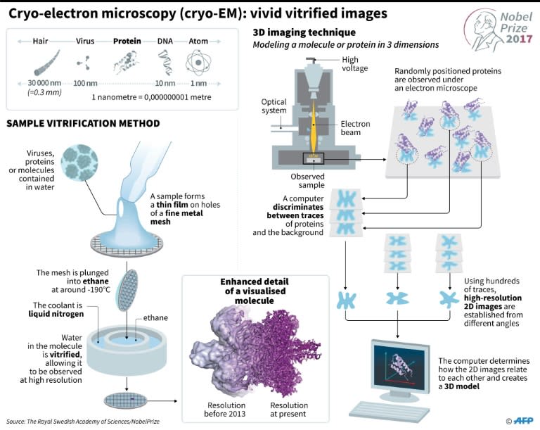 Presentation of the "cool method" of cryo-electron microscopy (cryo-EM)