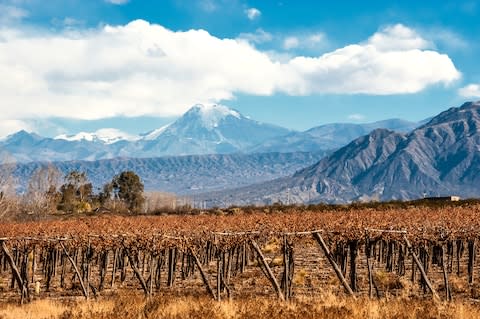 Wine from Mendoza doesn't necessarily taste good in the sky - Credit: Kseniya Ragozina - Fotolia