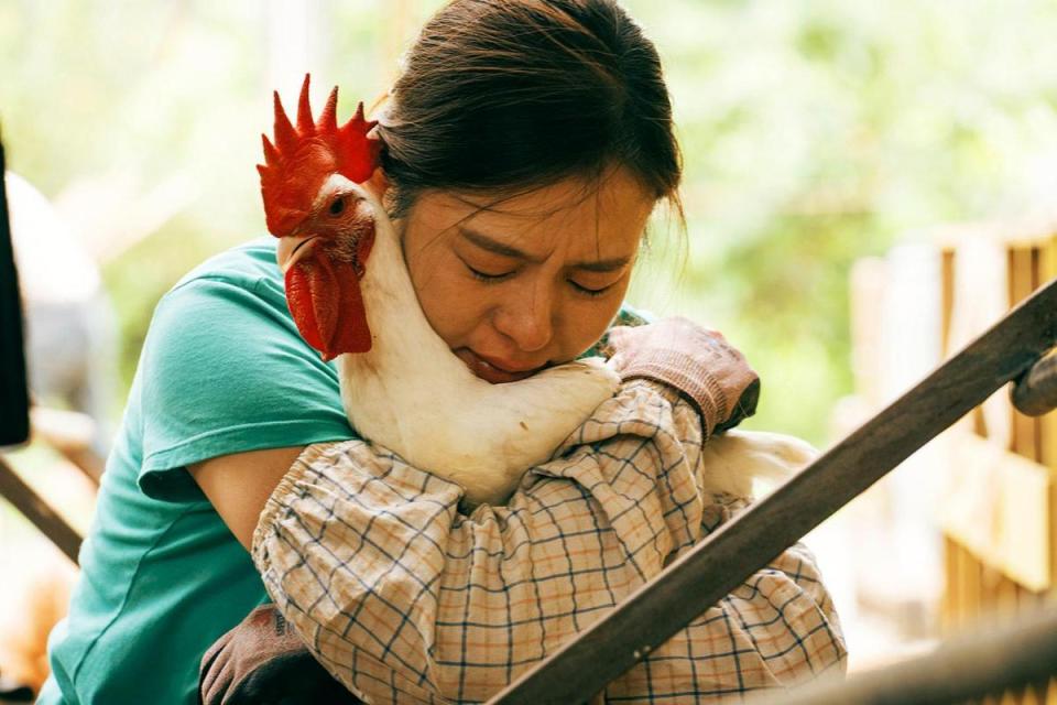 透過渴望愛情的農婦勇敢追愛，《莎莉》講的是面對孤獨與學會自處的故事。（伯樂影業提供）