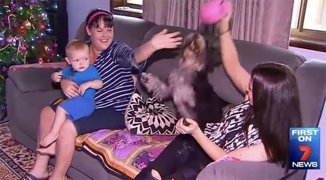 The family is thrilled to have their dog Molly home with them after she disappeared late last year. Source: 7 News.