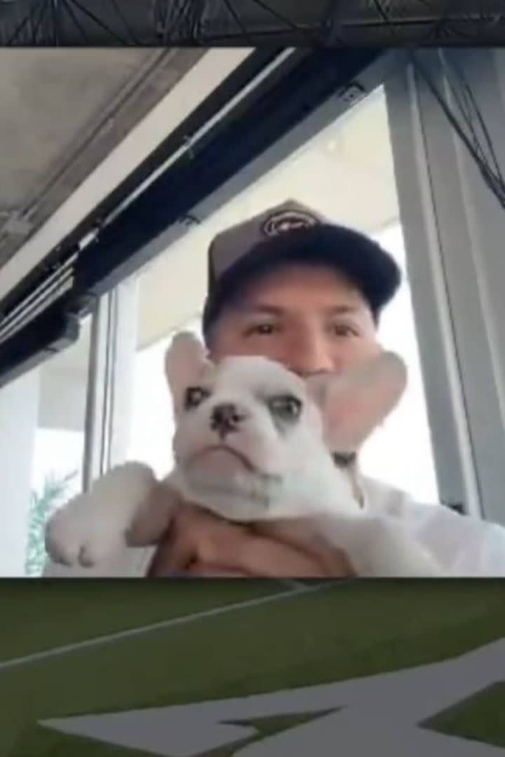 Kun Agüero exhibió en su cuenta de TikTok a su mascota Milo, que en migraciones confundieron con un conejo