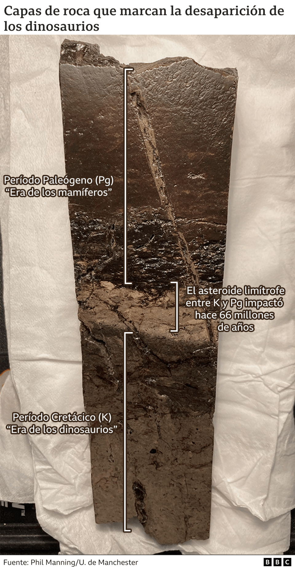 Capas de roca que marcan la desaparición de los dinosaurios