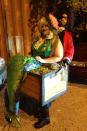 <p>People do mermaid costumes all the time, but not like this. If we were awarding medals for these, she gets the gold. </p>