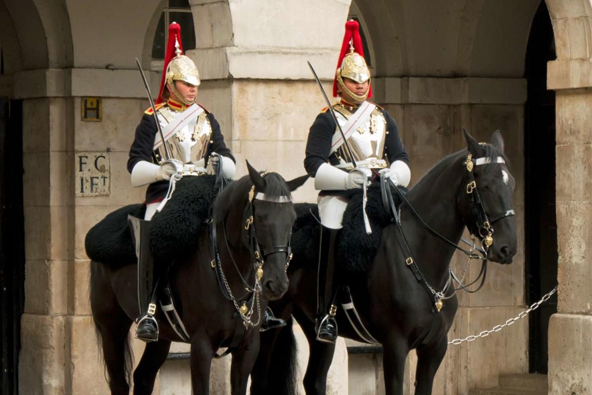 Lot - THE BLUES & ROYALS CAVALRY REGIMENT OF THE QUEEN'S HOUSEHOLD DIVISION