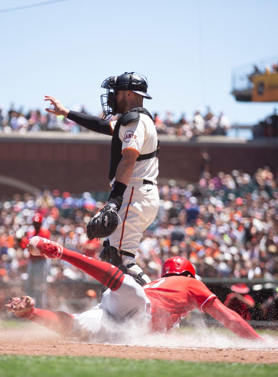 Jun 26, 2022; San Francisco, California, USA; Cincinnati Reds left fielder Tommy Pham (28) slides safely home while San Francisco Giants catcher Curt Casali (2) signals to hold the relay during the third inning at Oracle Park. Mandatory Credit: D. Ross Cameron-USA TODAY Sports