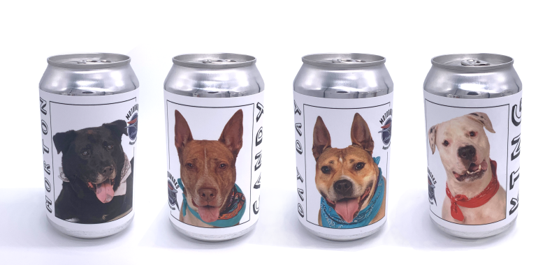 Die Brauerei Motorworks Brewing ist wegen der süßen Etiketten auf ihren Bierdosen viral gegangen. Diese zeigen Bilder von Hunden, die darauf warten, adoptiert zu werden. (Foto: Motorworks Brewing)