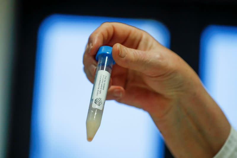 Hungarian biologist, Noemi Lukacs shows a test tube with antibodies, in Szirak