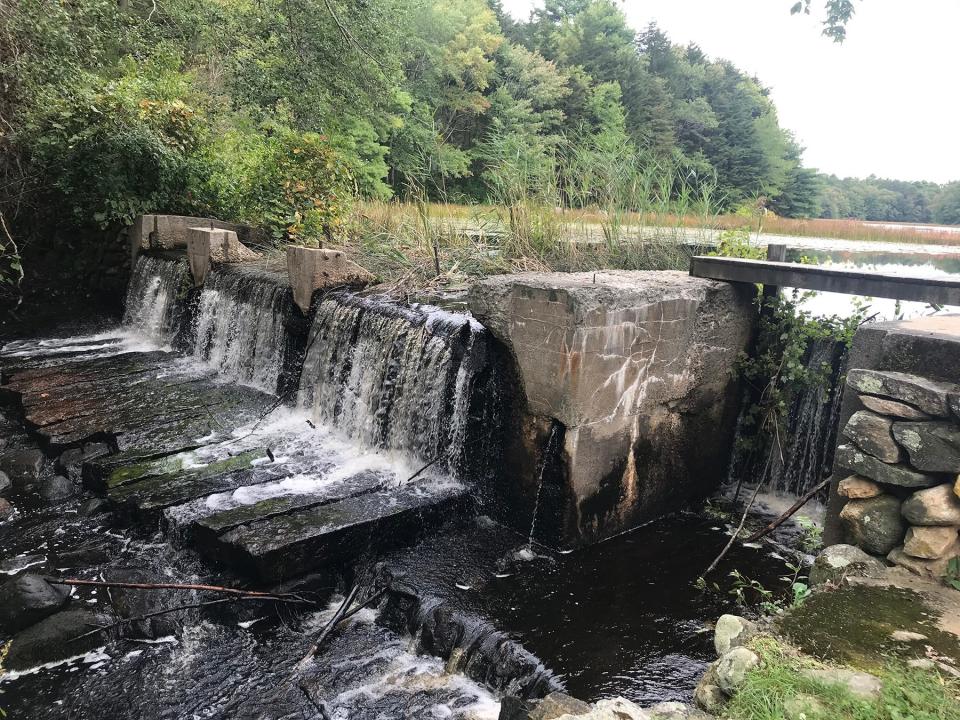 Water flows over the dam from Capwell Mill Pond, once the site of a sawmill and shingle mill, at the Big River Management Area.