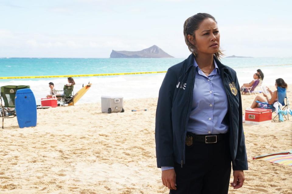 Vanessa Lachey as Jane Tennant, Ncis Hawaii