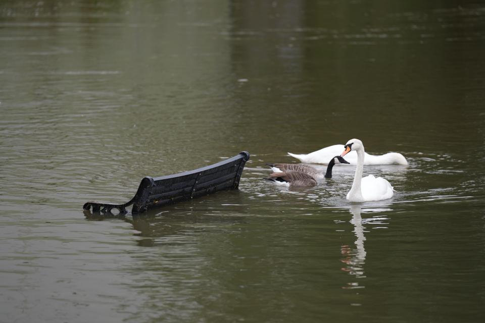 Swans swim past a bench submerged in flood water in Wellingborough (Joe Giddens/PA Wire)