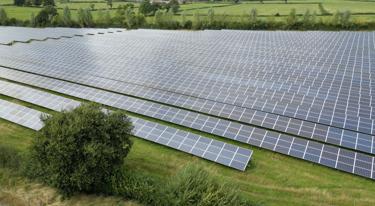 ¿Alimentos o energía solar? Los agricultores están divididos sobre el uso de la tierra