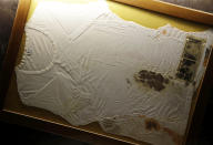 The bloodstained undershirt worn by Pope John Paul II during the assassination attempt on May, 13, 1981, in Rome, is seen Thursday, April 10, 2014.(AP Photo/Gregorio Borgia)