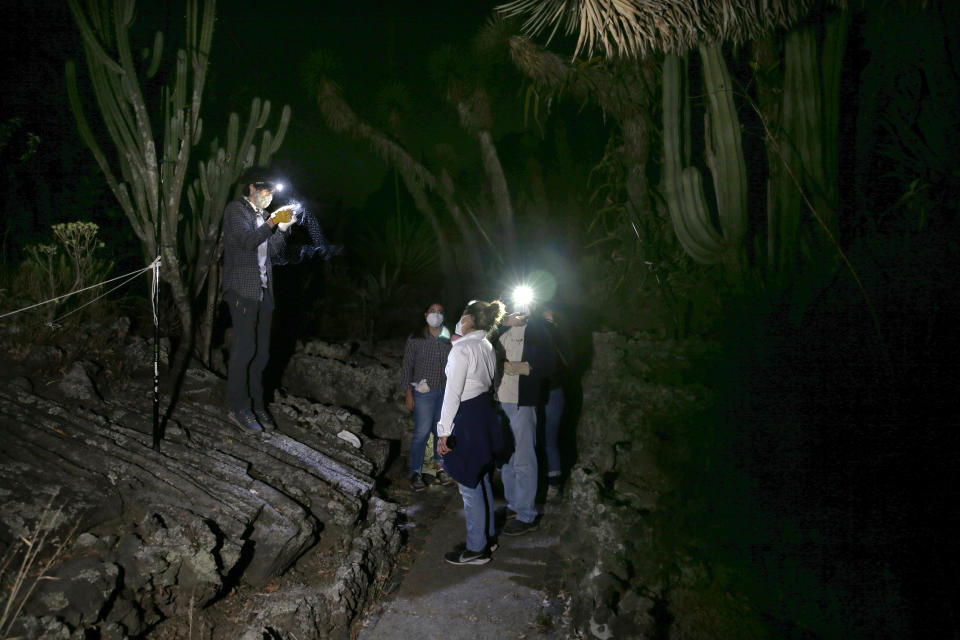 Biologist Rodrigo Medellin and his students from Mexico's National Autonomous University, UNAM, Ecology Institute, gather to briefly capture and release bats at the university's botanical gardens in Mexico City, Tuesday, March 16, 2021. They are hoping to trap the protected Mexican long-tongued bat that was first sighted this year in an even more unlikely location: a zoo at Chapultepec Park. (AP Photo/Marco Ugarte)