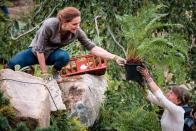 <p>In 2019, the Duchess of Cambridge made her debut as a garden designer at RHS Chelsea, when she co-designed the Back to Nature feature garden with Andrée Davies and Adam White of Davies White.</p><p>Kate's forest-style garden – which included a den, swing seat and treehouse – aimed to highlight the physical and mental health benefits of the natural world, inspiring children, families, and communities to enjoy the great outdoors.</p><p><strong>READ MORE: <a href="https://www.housebeautiful.com/uk/garden/a32624454/chelsea-flower-show-kate-middleton-throwback-photo-nature-garden/" rel="nofollow noopener" target="_blank" data-ylk="slk:Kate Middleton's Back to Nature Garden;elm:context_link;itc:0;sec:content-canvas" class="link ">Kate Middleton's Back to Nature Garden</a></strong></p>