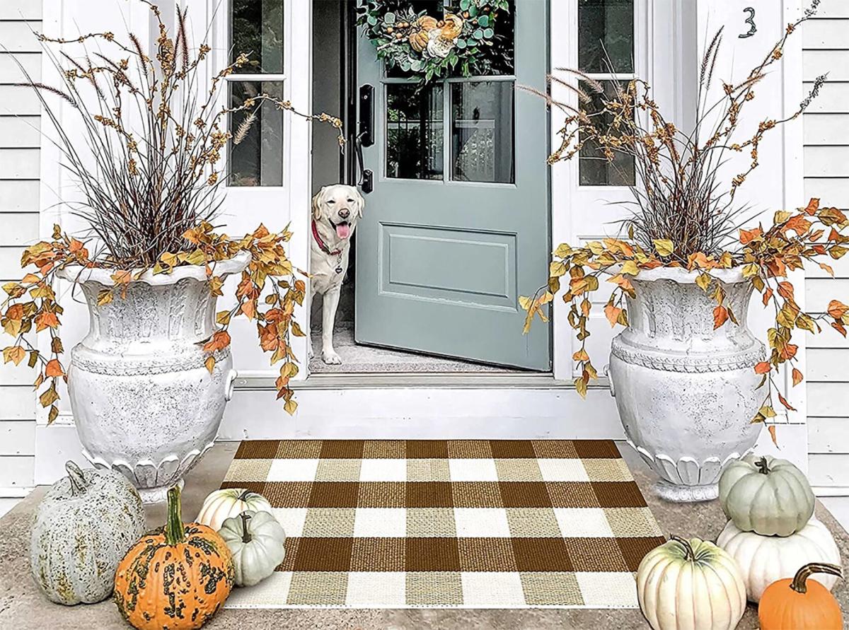 Barnyard Designs 'Oh Hello, See Ya' Doormat Welcome Mat for