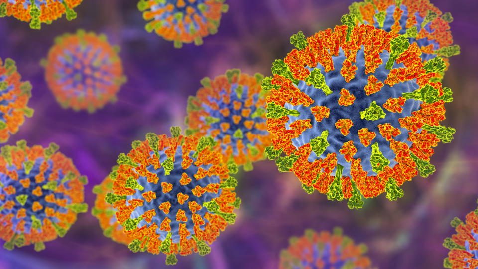 Measles virus particle, illustration. This virus, from the Morbillivirus group of viruses, consists of an RNA (ribonucleic acid) core surrounded by an envelope studded with surface proteins haemagglutinin-neuraminidase and fusion protein, which are used to attach to and penetrate a host cell. Measles is a highly infectious itchy rash with a fever. It mainly affects children, but one attack usually gives life-long immunity.