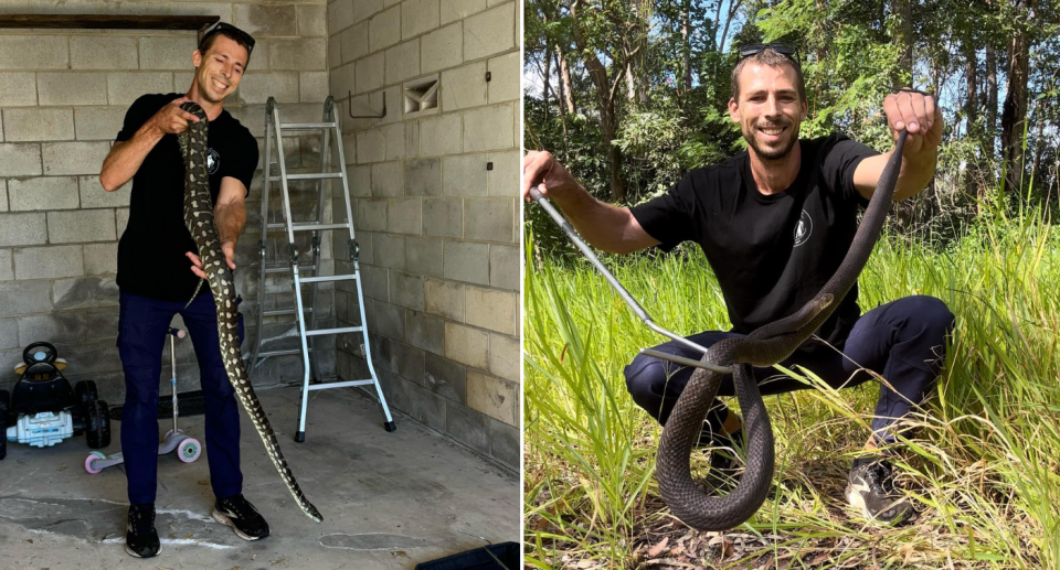 Daniel Busstra holding a snake in a property (left) and outside (right).