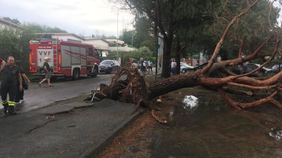 Firefighters and rescue services next to a fallen tree after a strong storm hit Lissone, Italy, on 24 July 2023.  - Fabrizio Radaelli/EPA-EFE/Shutterstock