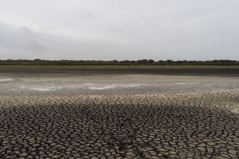 Cracks in the mud are seen in a dry wetland in Donana natural park, southwest Spain, Wednesday, Oct. 19, 2022.