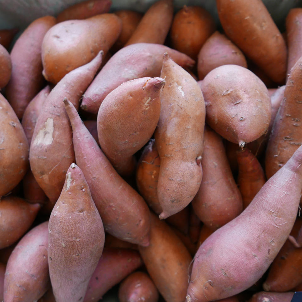 Sweet potato everything