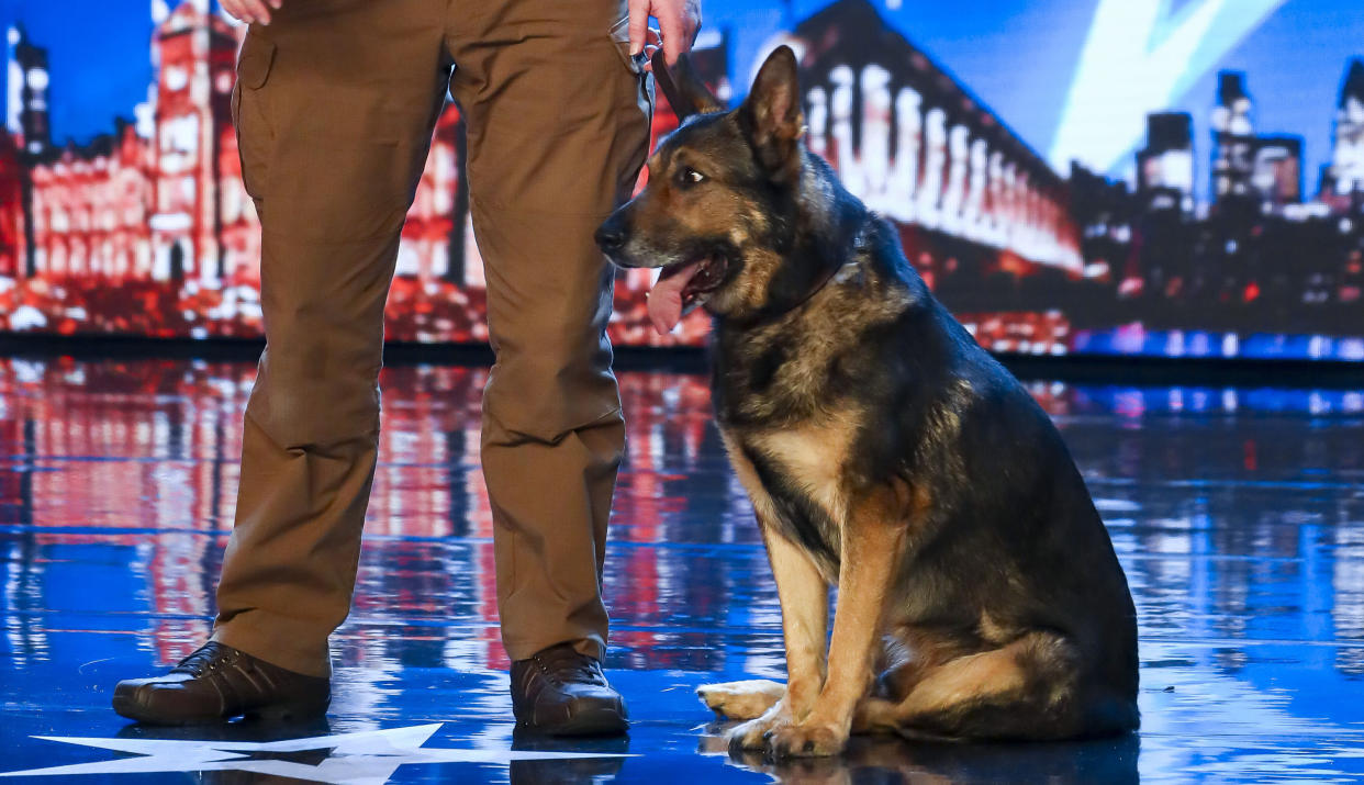 'Britains Got Talent' 2019 finalists Dave and Finn are a police dog magic act (Credit: Syco/Thames)