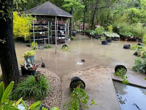 Severe flooding caused damage at Esposito's Garden Center following Wednesday's storm that dumped several inches of rain in Tallahassee.