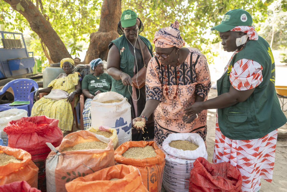 Mariama Sonko and other members of the "Nous Sommes la Solution" (We Are the Solution) movement take a census of the different varieties of rice in the Casamance village of Niaguis, Senegal, Wednesday, March 7, 2024. This quiet village in Senegal is the headquarters of a 115,000-strong rural women's rights movement in West Africa, We Are the Solution. Sonko, its president, is training female farmers from cultures where women are often excluded from ownership of the land they work so closely.(AP Photo/Sylvain Cherkaoui)