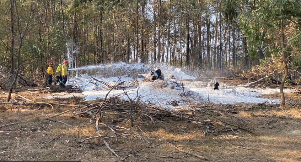 NSW Rural Fire Services crews work on a section of the Green Wattle Creek fire.