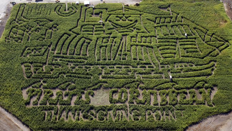 The Cornbelly’s corn maze at Thanksgiving Point.