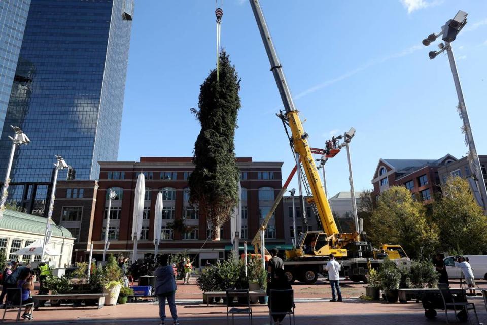 A crane places the 2021 Fort Worth Christmas Tree onto its stand at Sundance Plaza on Wednesday, November 17, 2021. The 55Õ Norway Spruce was harvested in Michigan and transported to Fort Worth.