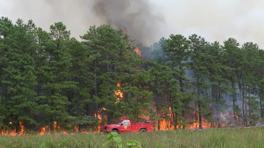 New Jersey Forest Fire Service fights 1,500-acre wildfire in Camden and Burlington counties Aug. 21, 2023. Fire began Aug. 20 in Waterford.