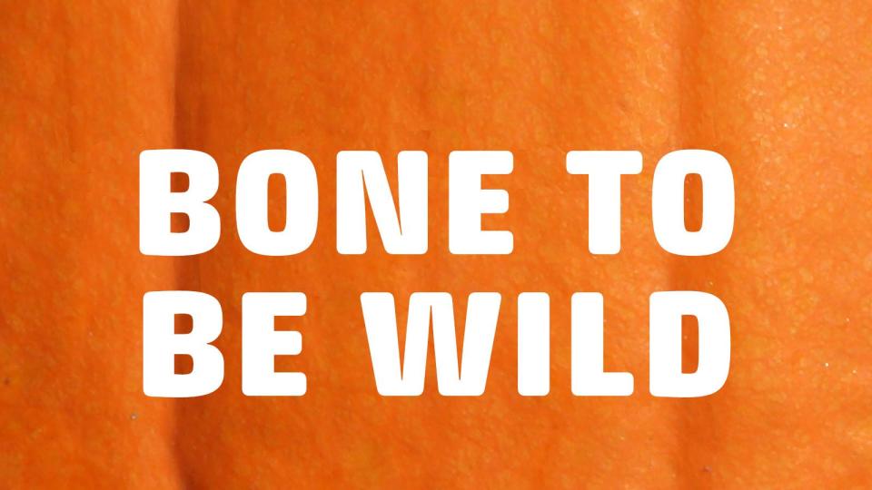 pumpkin puns bone to be wild