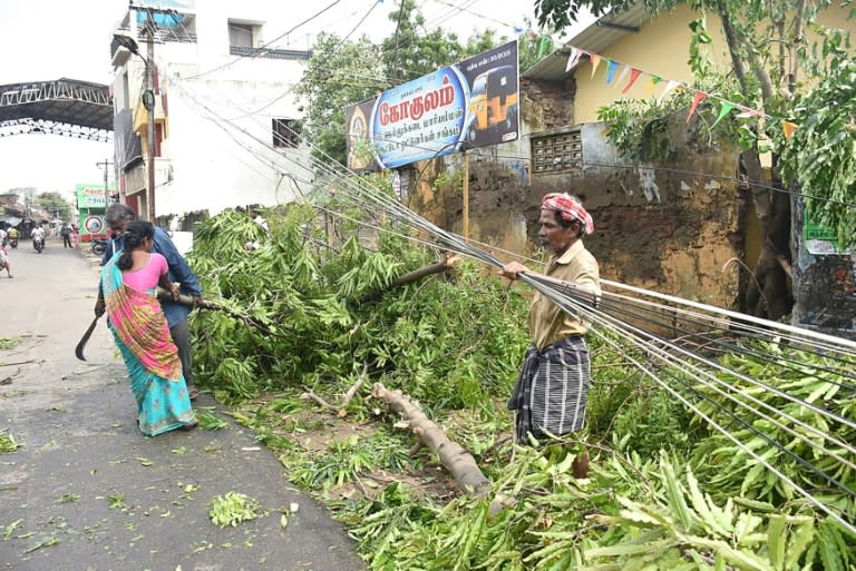 Thousands of trees were felled by winds that destroyed homes and hundreds of thousands were forced to flee to shelters in India's southern Tamil Nadu state after a cyclone struck the region