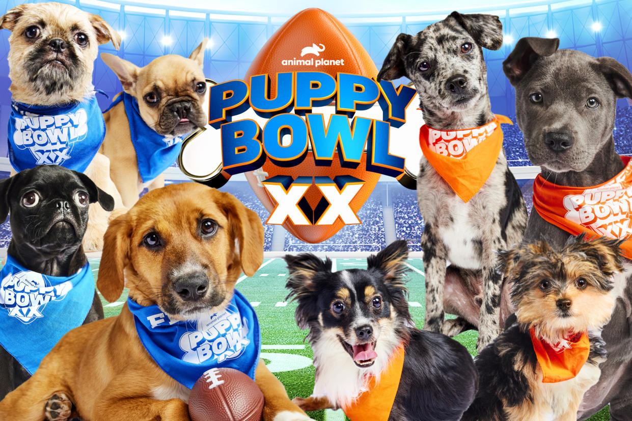 The winner of 2024 Puppy Bowl was officially decided Sunday, when Team Ruff managed to overtake Team Fluff hours before the Kansas City Chiefs take on the San Francisco 49ers in Super Bowl LVIII.