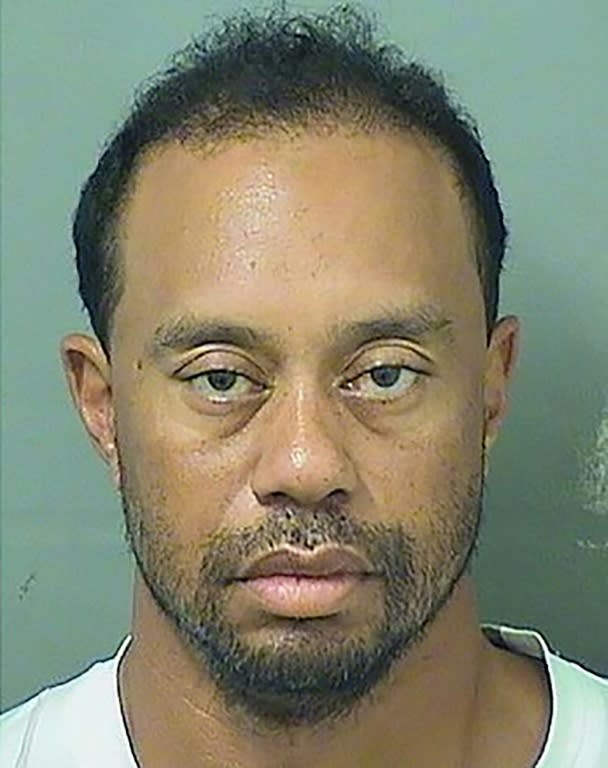 <p>They may be superstars in their respective sports, but that doesn’t mean these athletes are above the law. The lengthy list of athletes who have had their booking photo snapped includes Super Bowl winners, Major champions and Olympic athletes.<br><br>We begin with Tiger Woods, who was arrested on May 29, 2017, on charges of DUI. (Photo credit: Law Enforcement) </p>