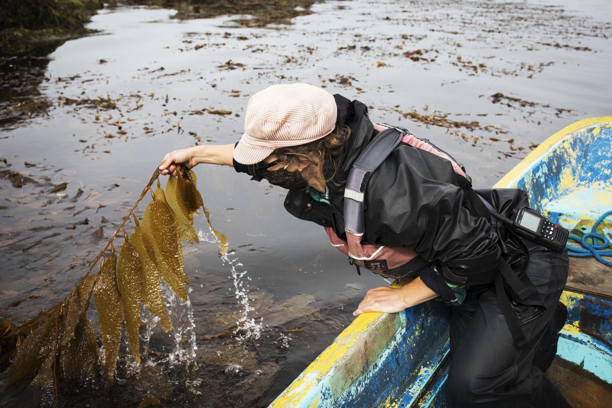 seaweed-farming-climate-02