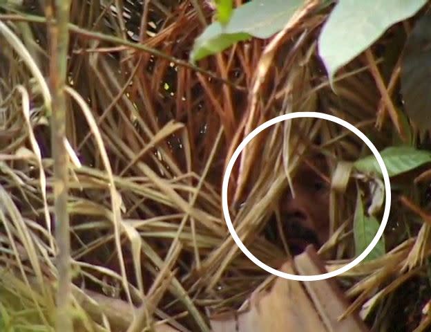 The man is seen looking out of a straw hut he made. The man avoided contact with other humans for decades after his tribe was killed off, one organization said. (Photo: Vincent Carelli_ Corumbiara)