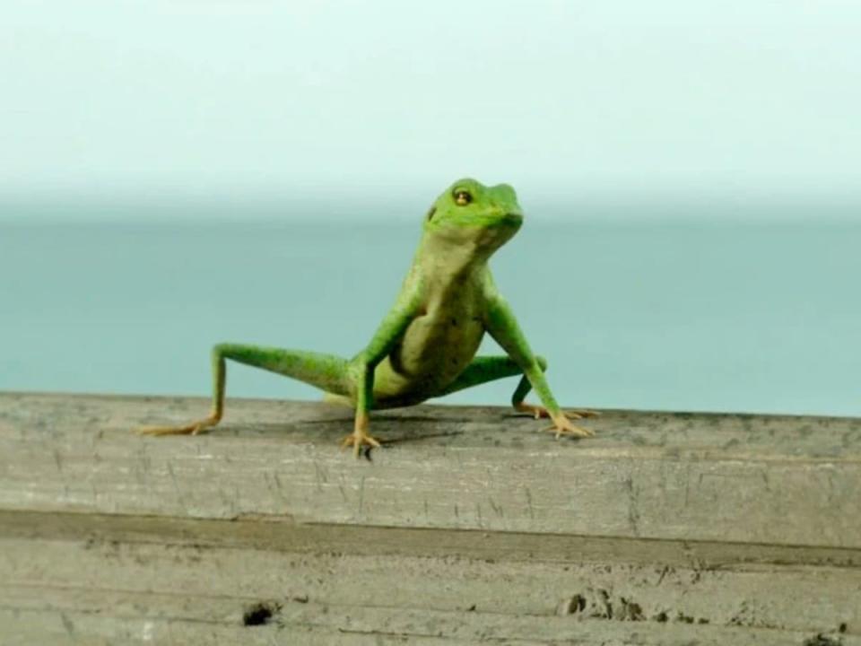 Harry the Lizard, star of ‘Death in Paradise’ (BBC)