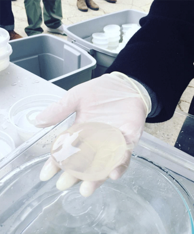 Darren Wong makes and sells his raindrop cake dessert at the Brooklyn Smorgansburg markets in New York. Photo: Instagram
