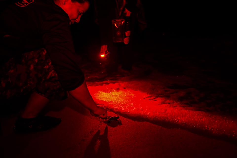 Members of The Leatherback Project for the conservation of leatherback turtles release a hatchling on a beach near in Armila, Panama, early Sunday, May 21, 2023. Sea turtles in Panama now have the legal right to live in an environment free of pollution and other detrimental impacts caused by humans, a change that represents a different way of thinking about how to protect wildlife. (AP Photo/Arnulfo Franco)