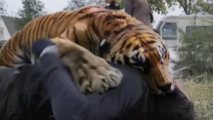 Shiva the Tiger (played by CGI and some puppets too)