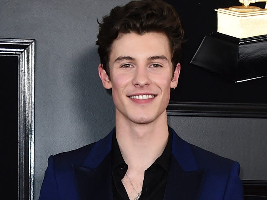 shawn mendes grammys 2019